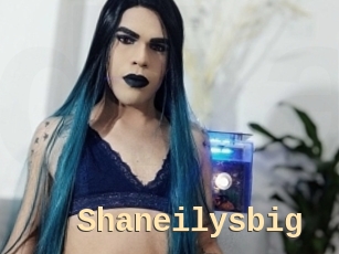 Shaneilysbig