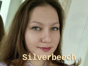 Silverbeech