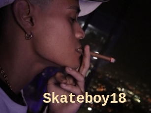 Skateboy18