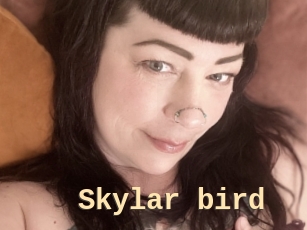 Skylar_bird