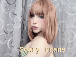 Soary_trans