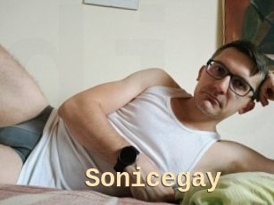 Sonicegay