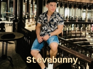 Stevebunny