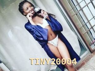 TINY20004