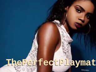 ThePerfectPlaymate