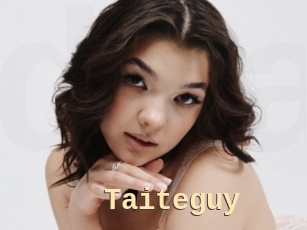 Taiteguy