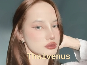 Thaivenus