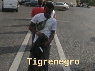 Tigrenegro