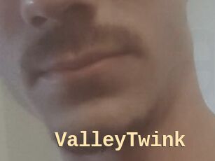 ValleyTwink