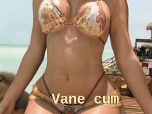 Vane_cum