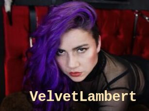 VelvetLambert