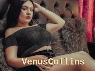 VenusCollins