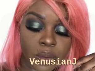 VenusianJ