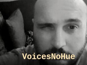 VoicesNoHue