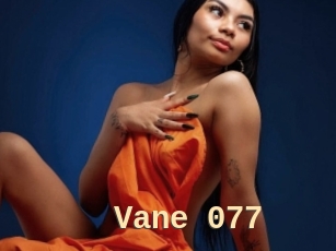 Vane_077