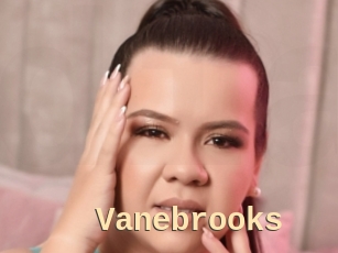 Vanebrooks