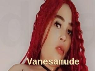 Vanesamude