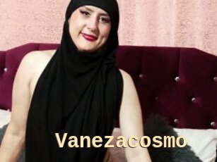 Vanezacosmo