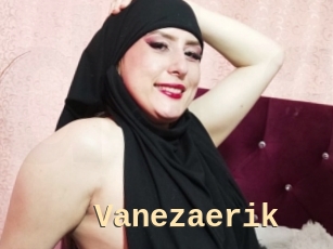 Vanezaerik