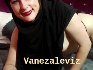 Vanezaleviz