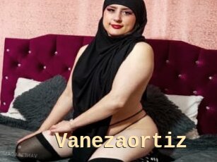 Vanezaortiz