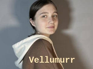 Vellumurr