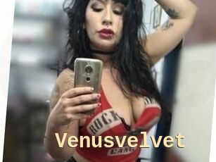 Venusvelvet