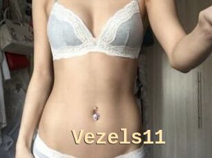 Vezels11