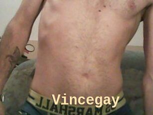 Vincegay