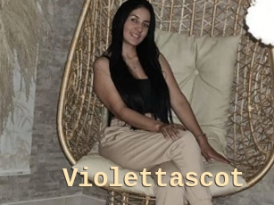 Violettascot