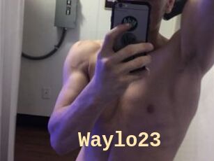 Waylo23