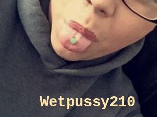 Wetpussy210