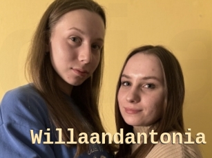 Willaandantonia