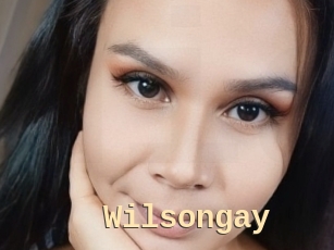 Wilsongay