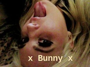 _x_Bunny_x_