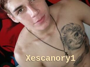 Xescanory1