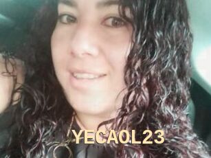 YECAOL23