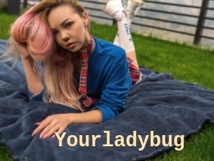 Yourladybug