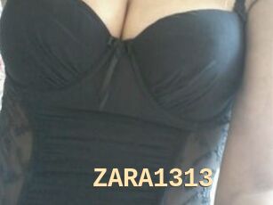 ZARA1313