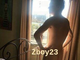 Zboy23