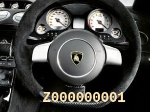 Z000000001