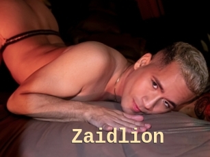 Zaidlion