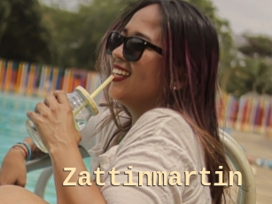 Zattinmartin