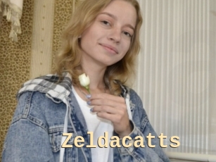 Zeldacatts