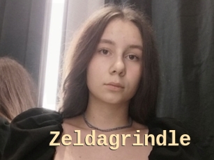 Zeldagrindle