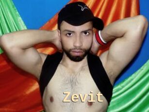 Zevit